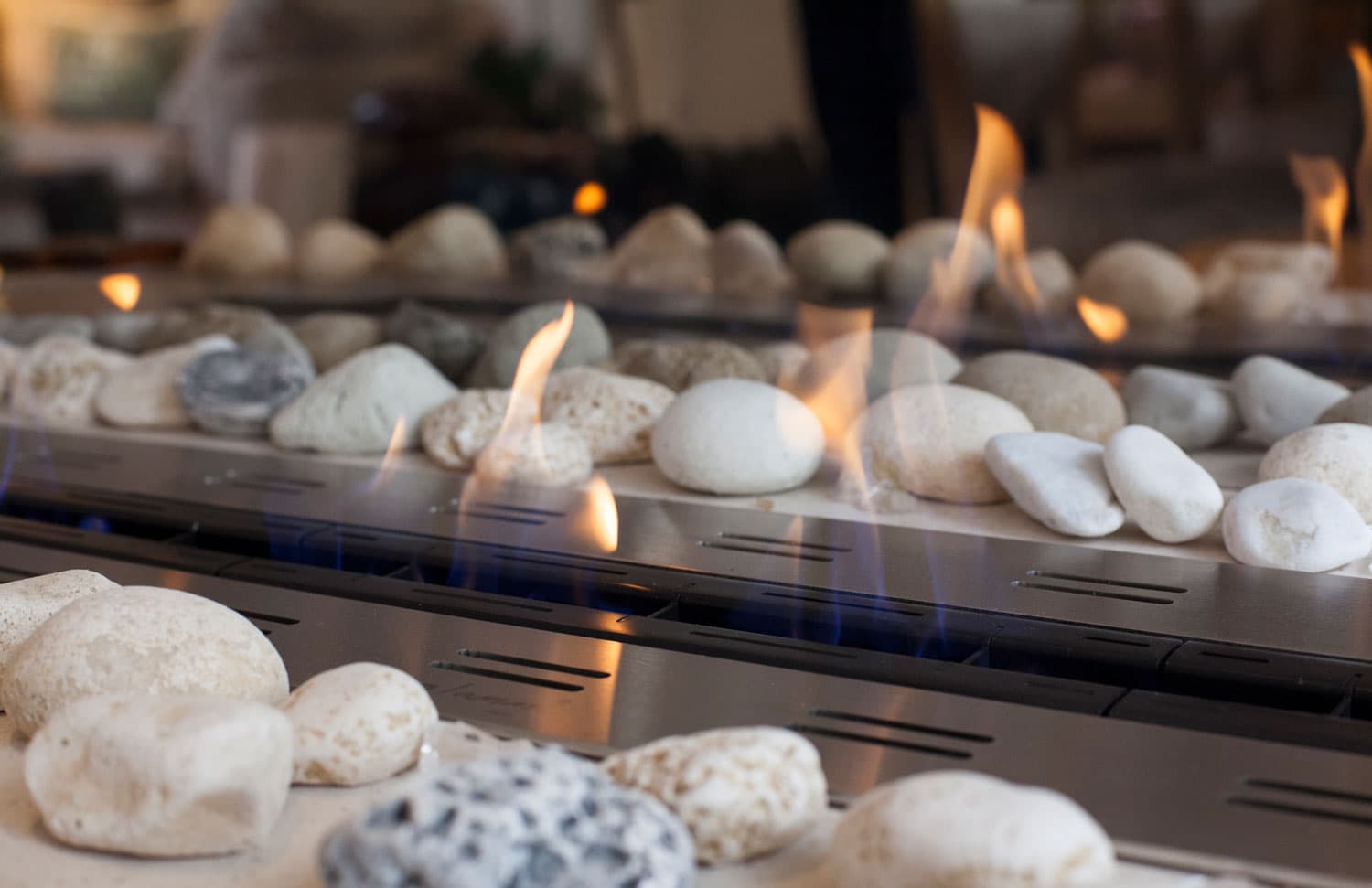 Light-filled interior — Sonia Korn